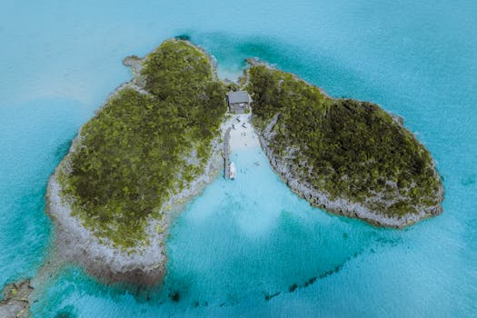 Island Jewel Ritz Carlton Reserve Dorado Beach Jewel of Paradise