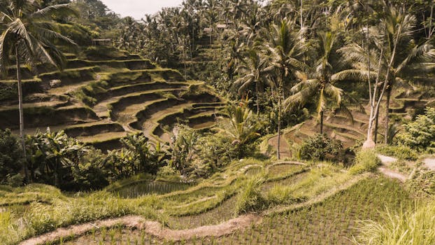 Jungle Jewel Ritz Carlton Reserve Mandapa Ubud Hidden Retreat