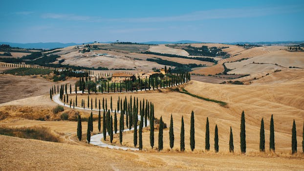 Tuscan Jewel Rosewood Castiglion del Bosco Countryside Grandeur