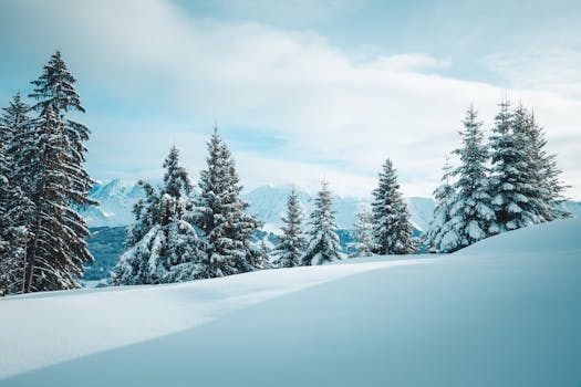 Winter Glory Ritz Carlton Megeve Alpine Treasure in the French Alps